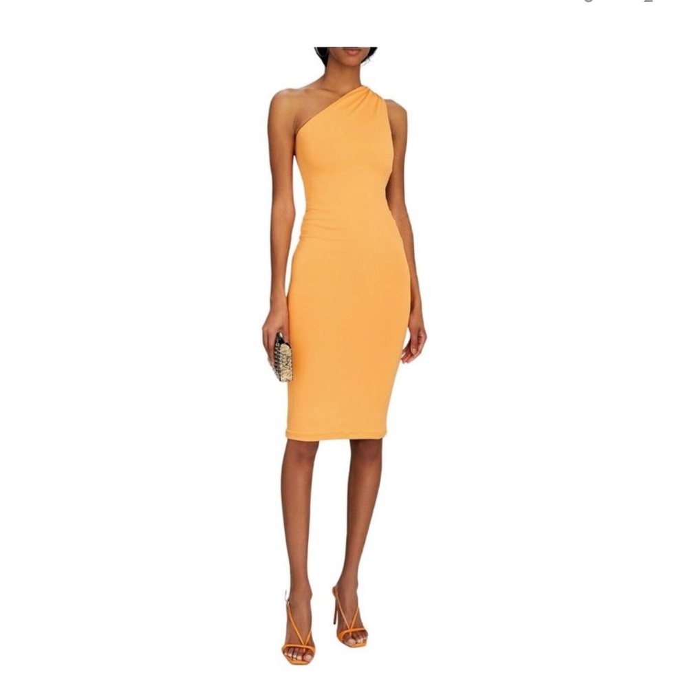 Alix NYC Sorbet Andres midi dress size XS NWOT. Never worn! Open back